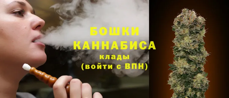 Конопля OG Kush  Любим 